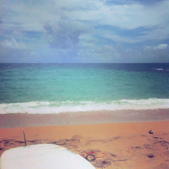 Meet your Posher, Renee - Picture 4 of 4